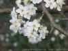 DSC03665