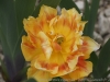 DSC03762