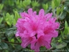 DSC03809