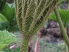 DSC03878