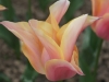 DSC03915