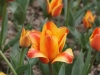 DSC04001