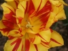 DSC04010