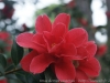 DSC04130
