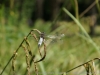 DSC04407