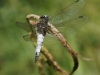 DSC04416