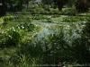 DSC04443_1