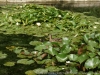 DSC04500_1