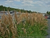 DSC04725_HDR2