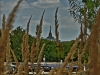 DSC04742_HDR2