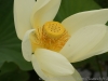 DSC04940