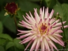 DSC05088