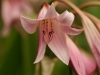 DSC05109