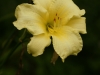 DSC05112