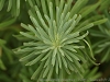 DSC05144_1