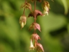 DSC05165