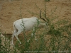 DSC05273_1