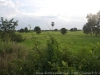 DSC07348a