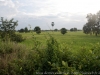 DSC07348b