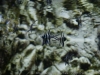 DSC05719