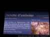 DSC05722a