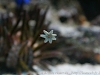 DSC05808_1