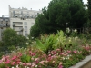 DSC05980_1