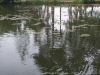 DSC06158