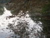 DSC06170