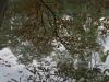 DSC06172