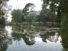 DSC06176