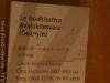 DSC06355a