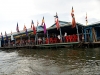 DSC06896_DxO1