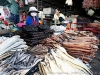 DSC07091_DxO1