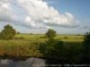 DSC07343_DxO