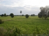DSC07351_DxO