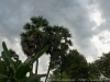 DSC07355_DxO