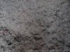 DSC07395_DxO