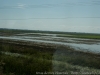 DSC07414_DxOa