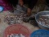 DSC07636_DxO