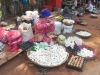 DSC07654