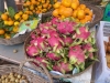 DSC07666
