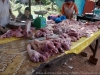 DSC07682_DxO