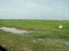 DSC07708