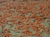 DSC07820_DxO