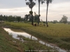DSC08240_DxO