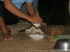 DSC08273_DxO