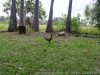 DSC08310_DxO