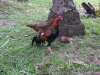 DSC08312_DxO_1