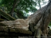 DSC08343_DxO